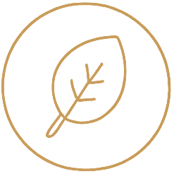 Responsible Materials